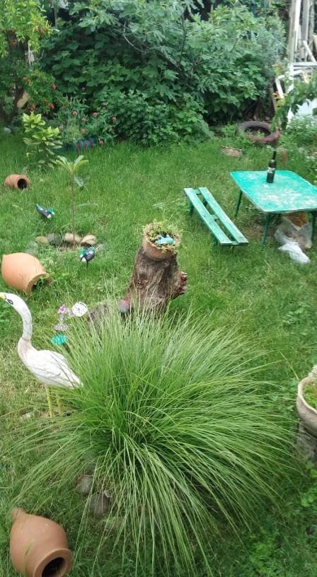 Guesthouse Giorgi Telavi Luaran gambar